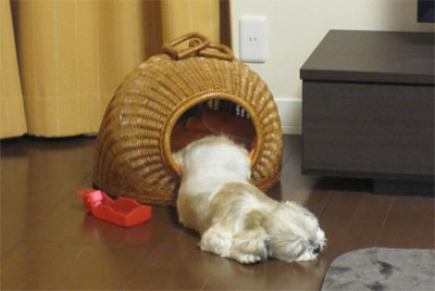 20110426-01.jpg