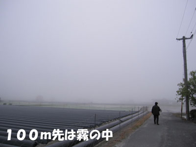 20110507-05.jpg