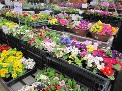 20120323-01.jpg