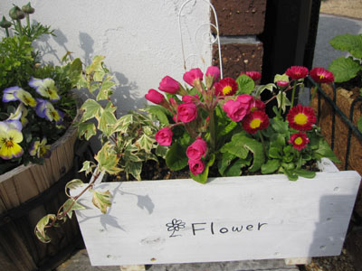 20120323-08.jpg