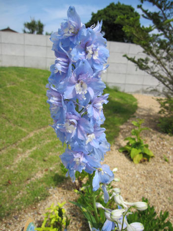 20120629-01.jpg