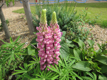 20120629-02.jpg