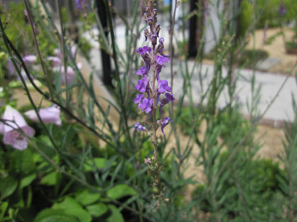 20120629-04.jpg