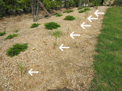 20120629-08.jpg