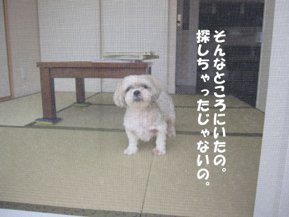 20120629-09.jpg