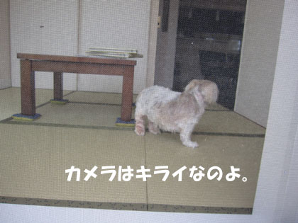 20120629-10.jpg