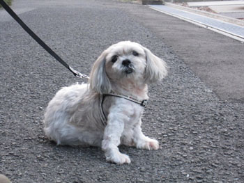 20121026-01.jpg
