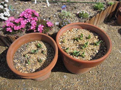 20130228-12.jpg