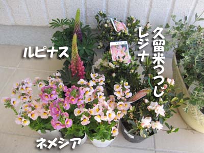 20130228-16.jpg