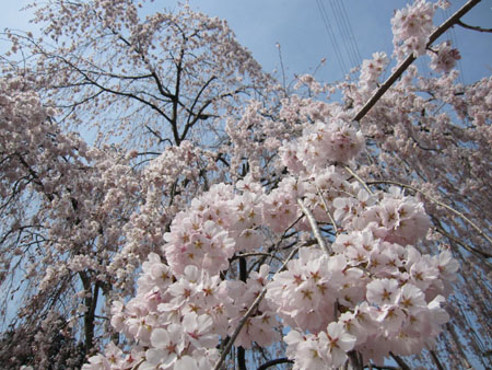 20130401-02.jpg