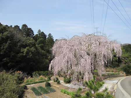 20130401-04.jpg