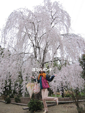 20130401-07.jpg