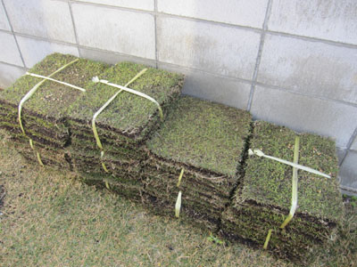20130625-07.jpg