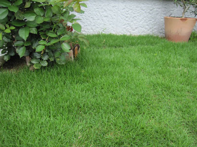 20130625-15.jpg