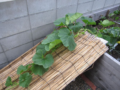 20130627-03.jpg