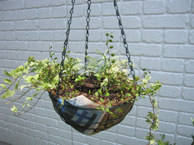 20130726-01.jpg