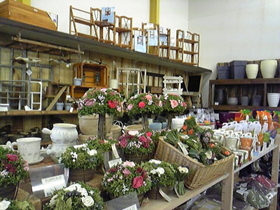 20130926-.jpg