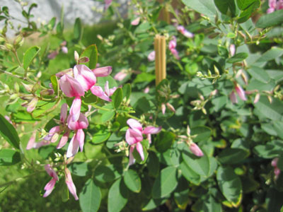 20130926-04.jpg