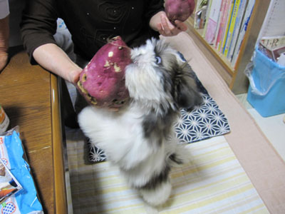 20131015-03.jpg