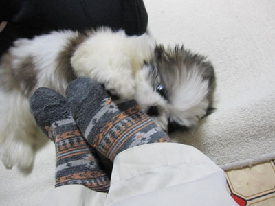 20131015-04.jpg