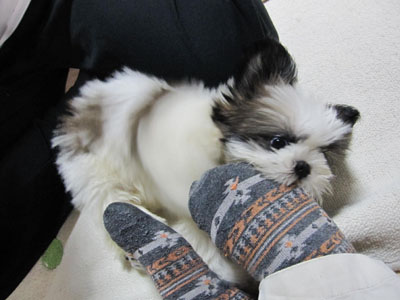 20131015-05.jpg