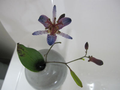 20131025-01.jpg