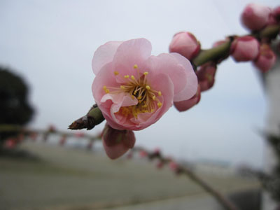20140227-01.jpg
