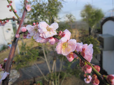 20140227-02.jpg