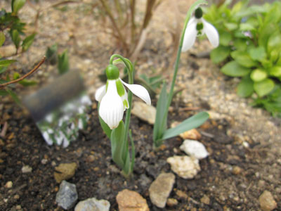20140227-04.jpg