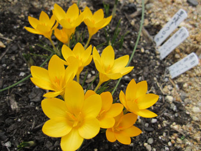 20140227-05.jpg