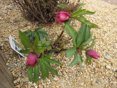 20140227-06.jpg
