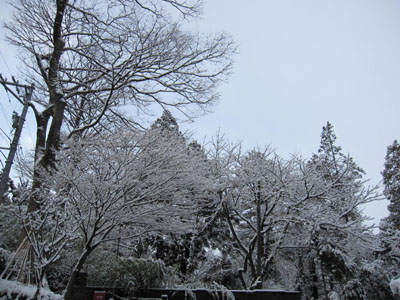20140310-01.jpg