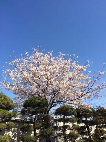20140402-01.jpg