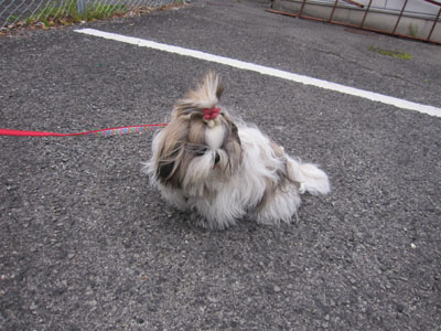 20140425-02.jpg