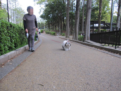 20140425-03.jpg