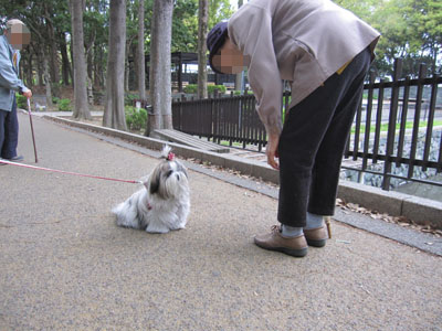 20140425-04.jpg