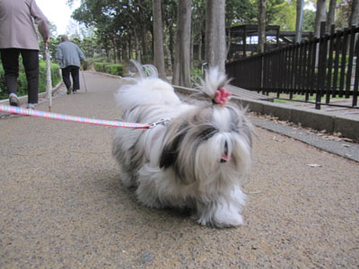 20140425-05.jpg