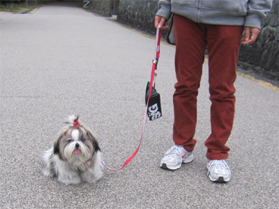 20140425-06.jpg