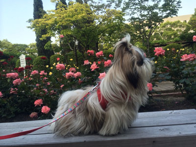 20140526-08.jpg