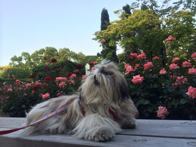 20140526-09.jpg