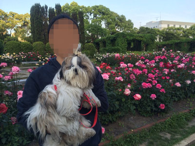 20140526-12.jpg
