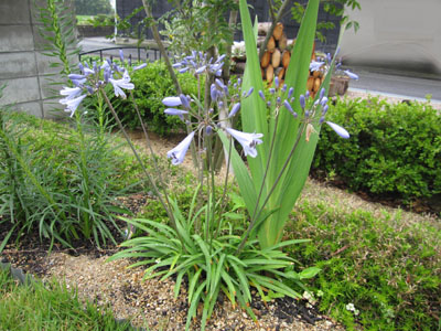 20140618-03.jpg