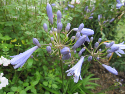 20140618-04.jpg