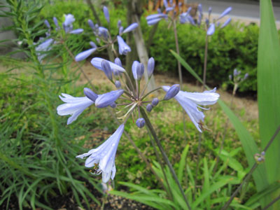 20140618-05.jpg