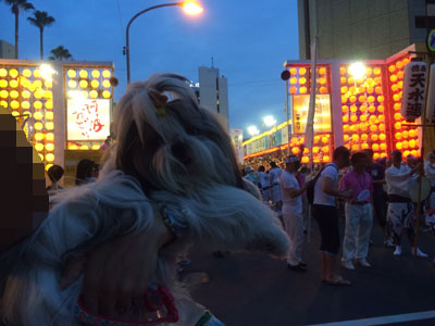 20140822-04.jpg
