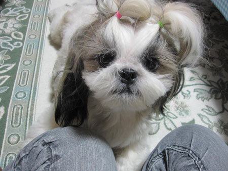20140910-01.jpg