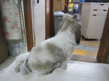 20140910-02.jpg