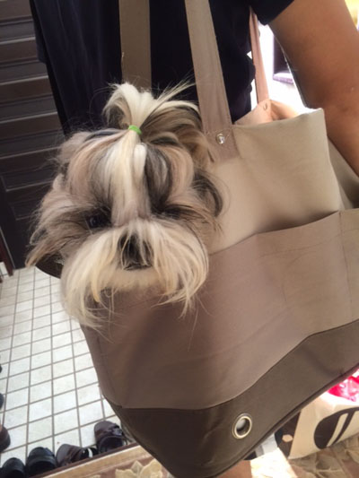 20140910-03.jpg