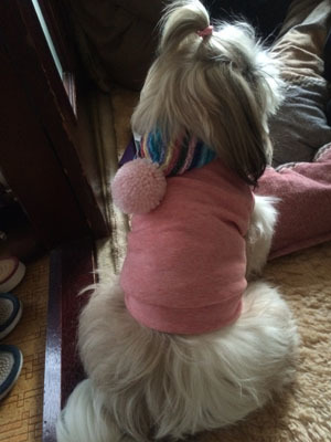 20150128-02.jpg