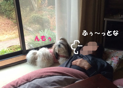 20150128-05.jpg